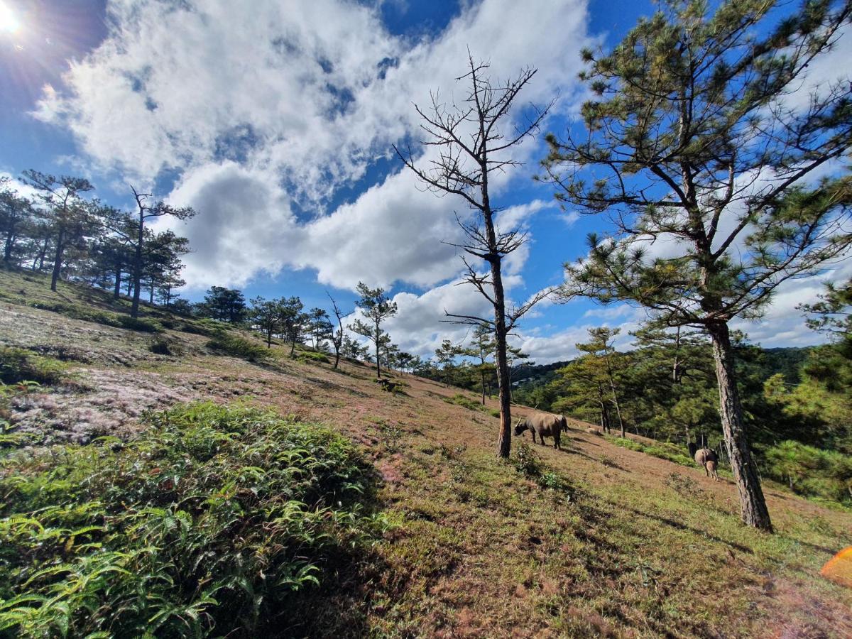 Mon Bac Home Da Lat Zewnętrze zdjęcie