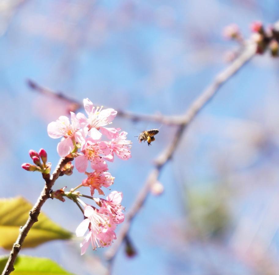 Mon Bac Home Da Lat Zewnętrze zdjęcie